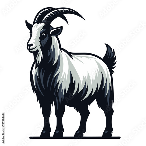 Goat full body vector illustration, farm pet, animal livestock, for butchery meat shop and dairy milk product, design template isolated on white background
