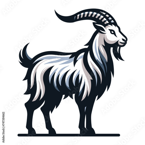 Goat full body vector illustration, farm pet, animal livestock, for butchery meat shop and dairy milk product, design template isolated on white background