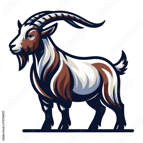 Goat full body vector illustration, farm pet, animal livestock, for butchery meat shop and dairy milk product, design template isolated on white background