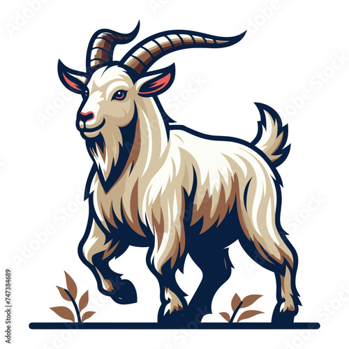 Goat full body vector illustration, farm pet, animal livestock, for butchery meat shop and dairy milk product, design template isolated on white background