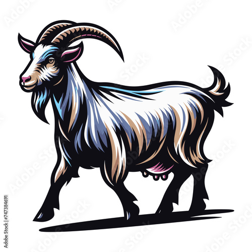 Goat full body vector illustration, farm pet, animal livestock, for butchery meat shop and dairy milk product, design template isolated on white background