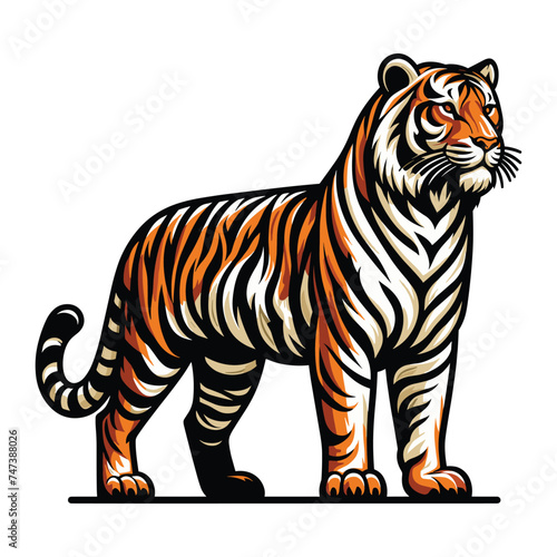 Wild tiger full body vector illustration, zoology illustration, animal predator big cat design template isolated on white background