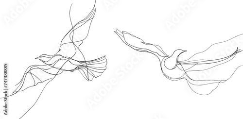 One line dove flies design silhouette.Hand drawn minimalism style