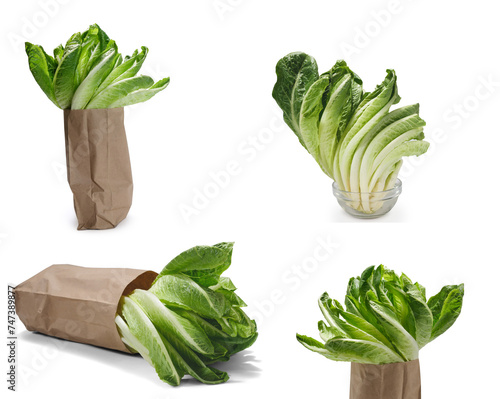 Various Romaine lettuce leaves in paper bag and glass bowl isolated on white background