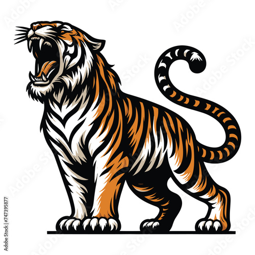 Wild roaring tiger full body vector illustration, zoology illustration, animal predator big cat design template isolated on white background