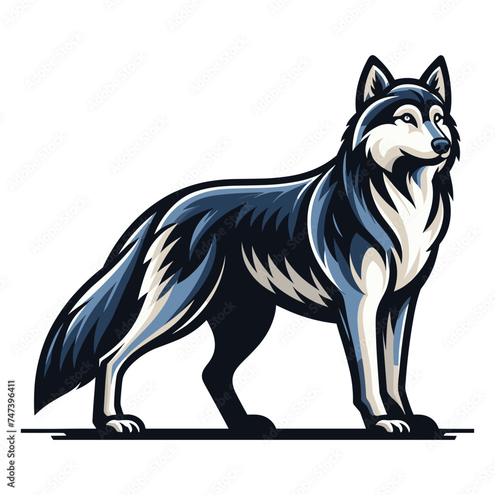 Wild wolf dog full body design vector illustration, animal wildlife template isolated on white background