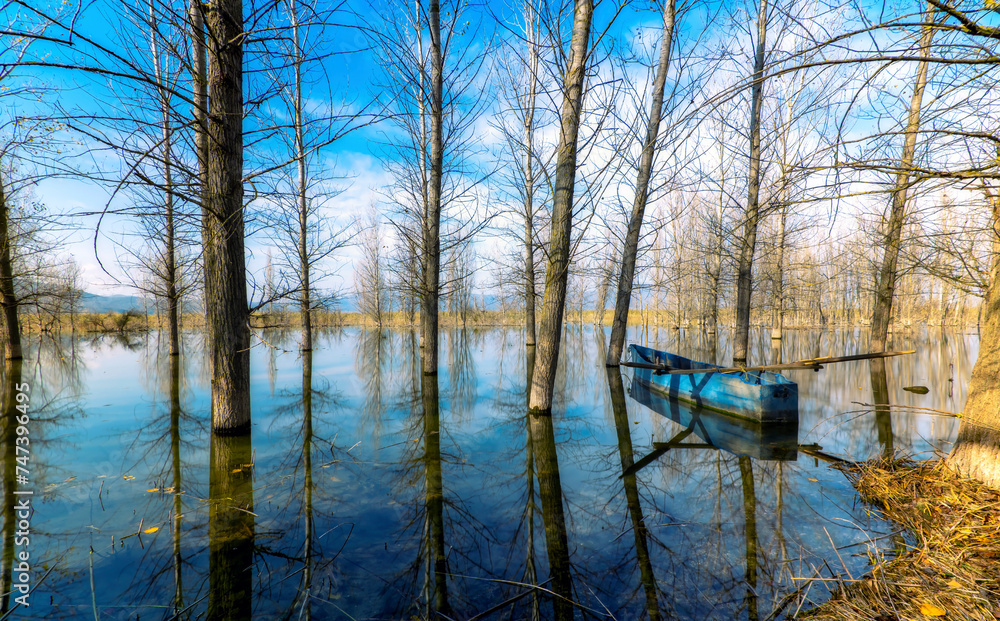 Obraz premium landscape with lake