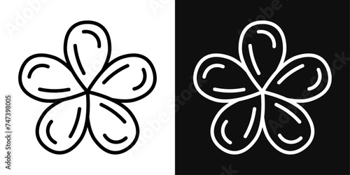 Araliya Flower Icon Set. Vector Illustration photo