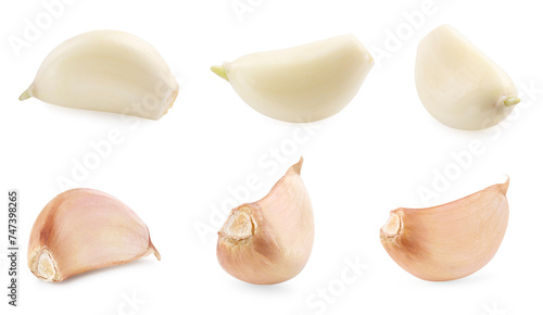 Fresh garlic cloves isolated on white, set