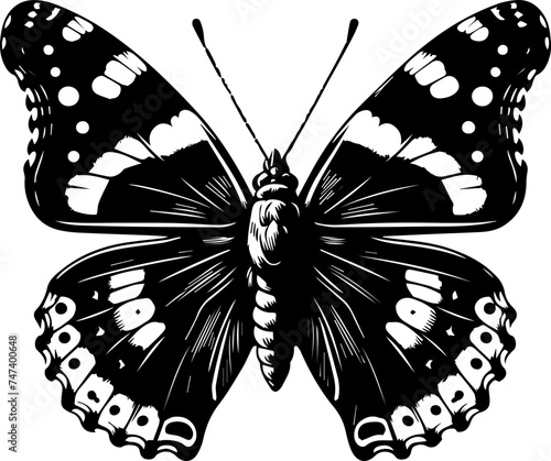  Admiral Butterfly icon