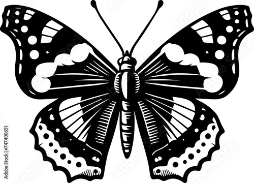 Admiral Butterfly icon