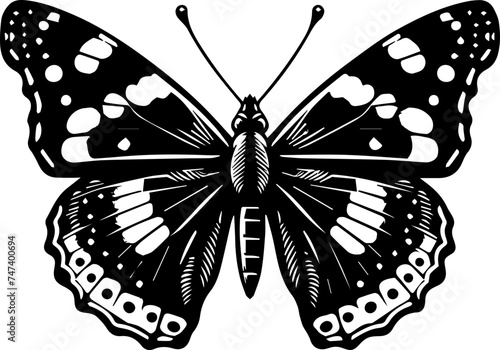  Admiral Butterfly icon
