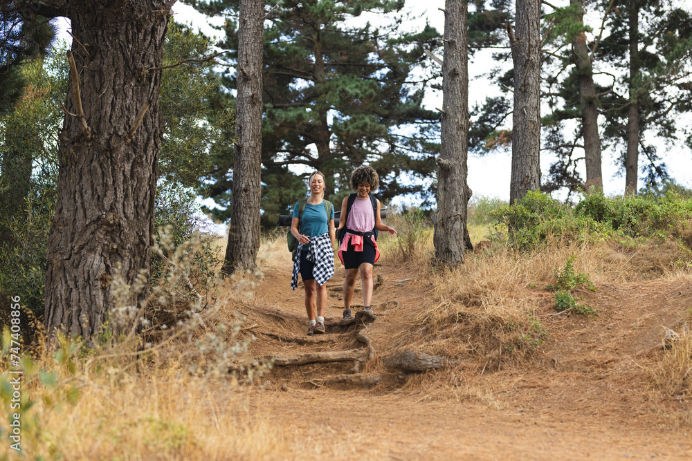 Two women are hiking on a forest trail, surrounded by tall trees, with copy space Two women are hiking on a forest trail, surrounded by tall trees, with copy space