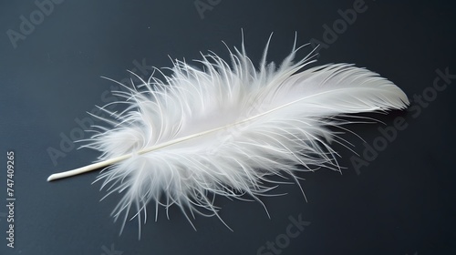 a white feather isolated on dark background. Abstract texture. copy space.