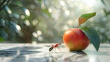 Roter Apfel und Ameise