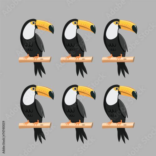 Collection of birds, lilac breasted roller, bullfinch, red bellied pitta, great tit, kingfisher, northern cardinal, bee eater, sparrow, superb fairy vector Illustrations