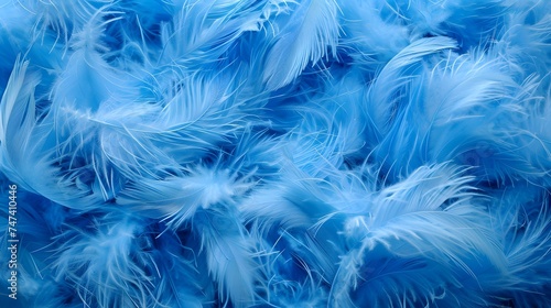 Bright Blue feather surface Abstract background textured. wallpaper. 