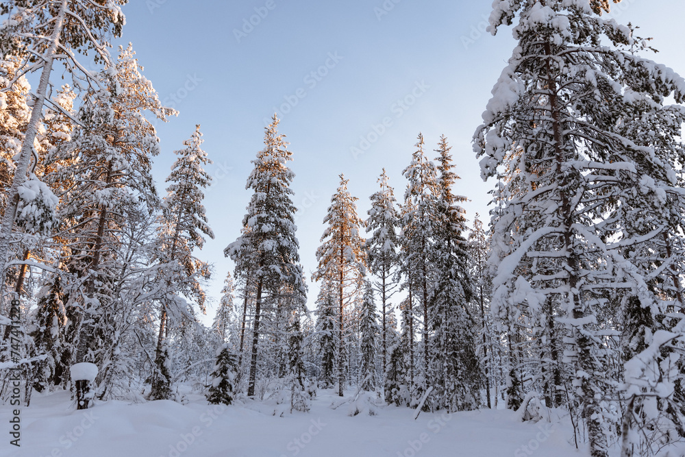 paysage enneigé en Laponie