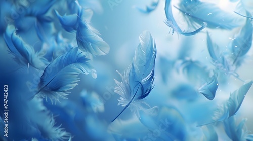 Close up of Bright Blue feather Abstract background texture.	 photo