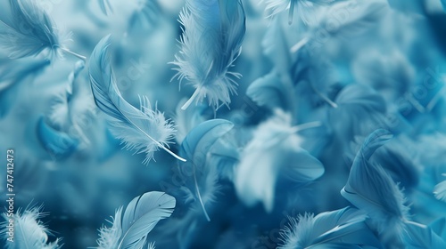 Close up of Bright Blue feather Abstract background texture. 