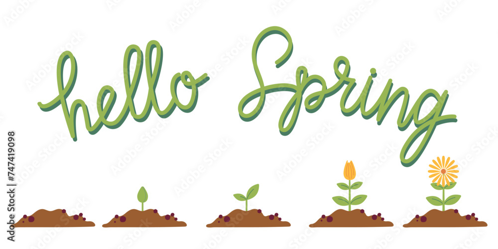 flower-life-cycle-growth-stages-from-seed-to-flowering-hello-spring-lettering-flat-colorful