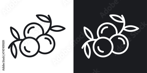Juniper Icon Designed in a Line Style on White background. photo