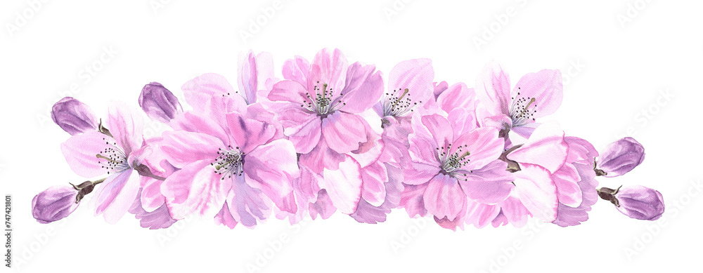 Watercolour Sakura spring flowers illustration border. Seasonal Cherry blossom decor. Isolated background. Hand-painted. Botanical Floral elements. For Greeting cards, banner, invitation. 
