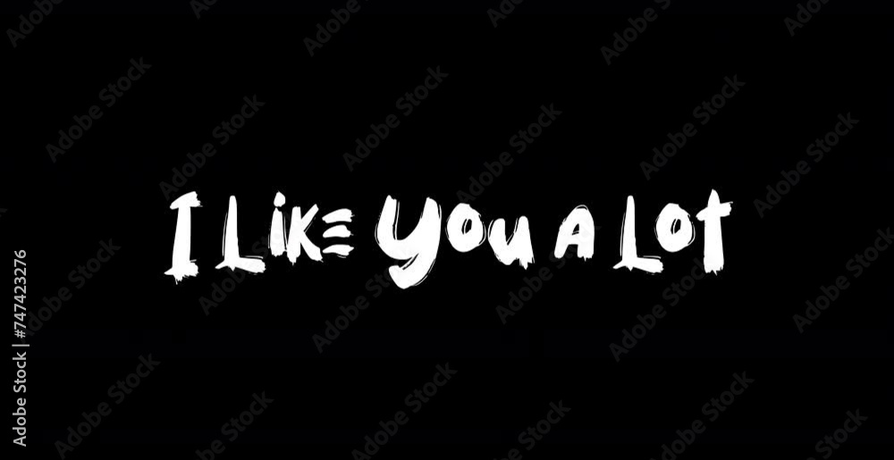 I Like You a Lot-Love Quote Grunge Transition Effect of Text Typography Animation on Black Background Stock Video I Like You a Lot-Love Quote Grunge Transition Effect of Text Typography Animation on Black Background Stock Video