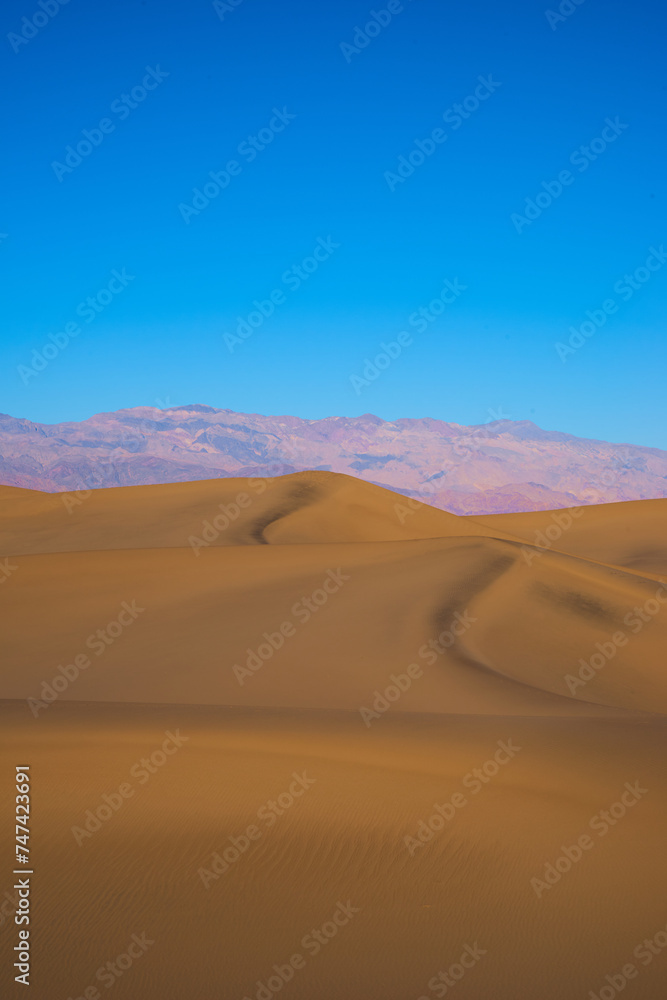 Sand dunes in the desert - 