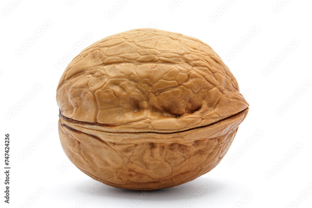 close-up walnut with shell on white background close-up walnut with shell on white background