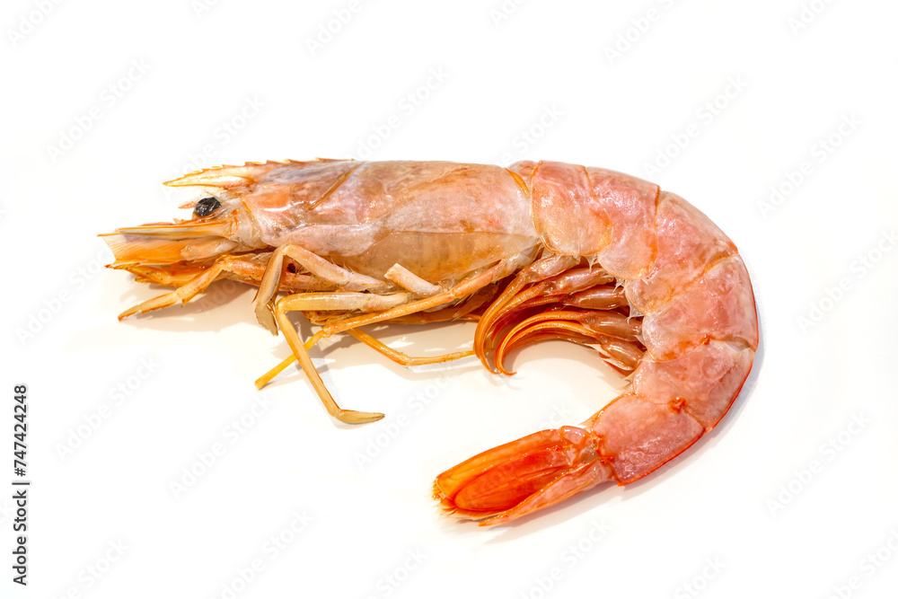 Fotografie raw ama-ebi shrimp isolated on white background