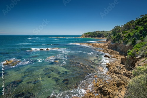 a rocky beach with trees and blue water