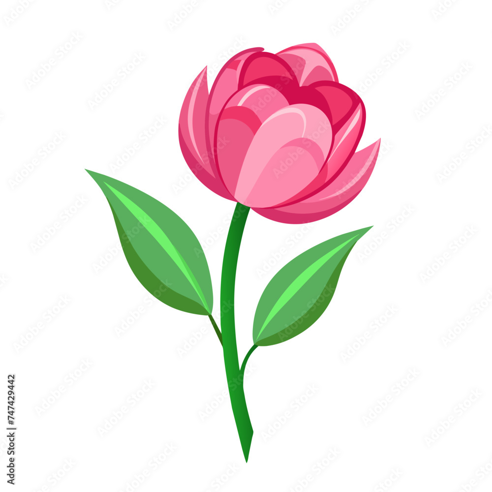 Fototapeta premium Spring yellow tulip isolated on white background