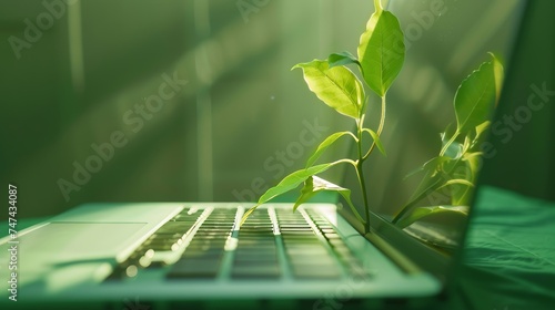 Plant growing or germinating in a notebook, green technology concept
