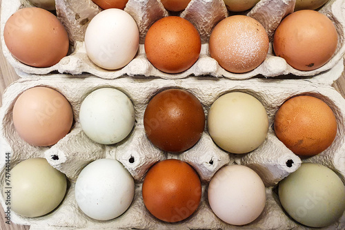 Naturally Multicolored Chicken Eggs in Carton 