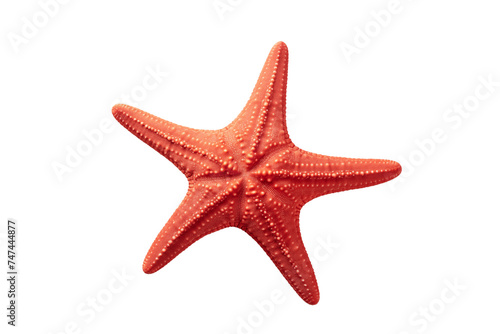 starfish or sea star photo isolated on transparent background.