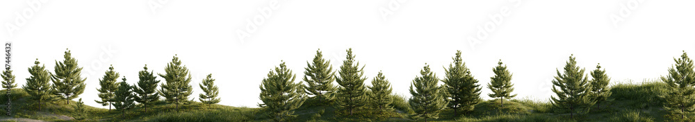 Green Trees in Tranquil Forest Landscape. 3D rendering.	

