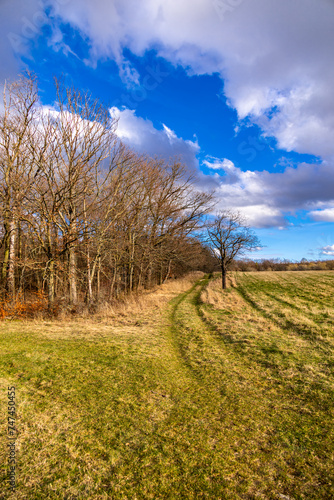 Frühlingshafte Wanderung durch das wunderschöne Saaletal bei Dornburg-Camburg - Thüringen - Deutschland