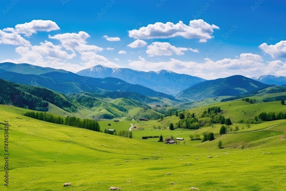 Fototapeta premium Peaceful scene with grazing sheep, ideal for nature-themed designs