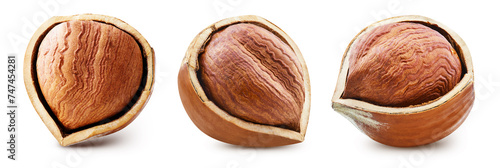 Hazelnuts isolated. Collection hazelnut on white background. Set hazelnut clipping path