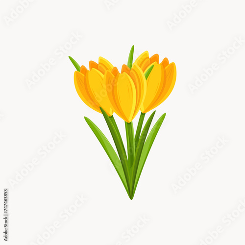 Early spring tulips and garden yellow flowers symbols isolated on white set. Elements Illustration of nature flower spring and summer in garden. Stock vector