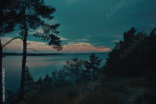 A serene view of water with trees in the foreground. Ideal for nature and landscape themes © Fotograf