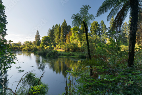 Hamurana Springs, Rotorua, Bay of Plenty, Nordinsel, Neuseeland, Ozeanien photo