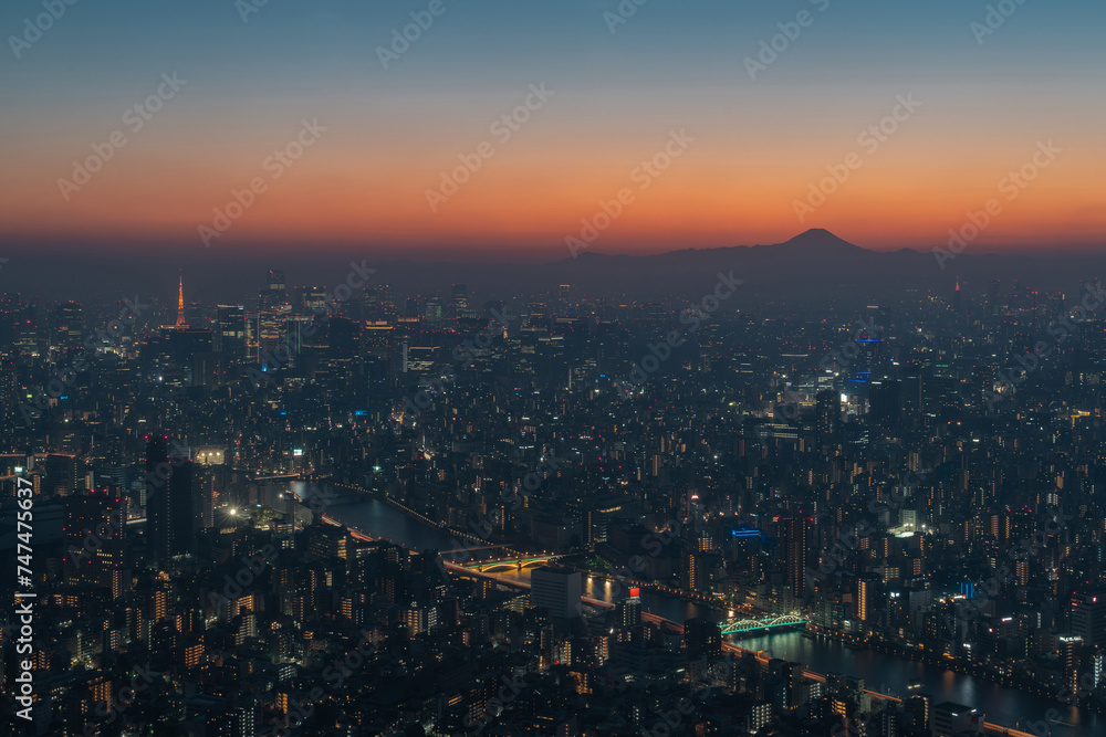 Aerial view of Tokyo cityscape at dusk, Japan.