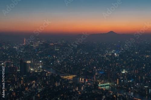 Aerial view of Tokyo cityscape at dusk  Japan.