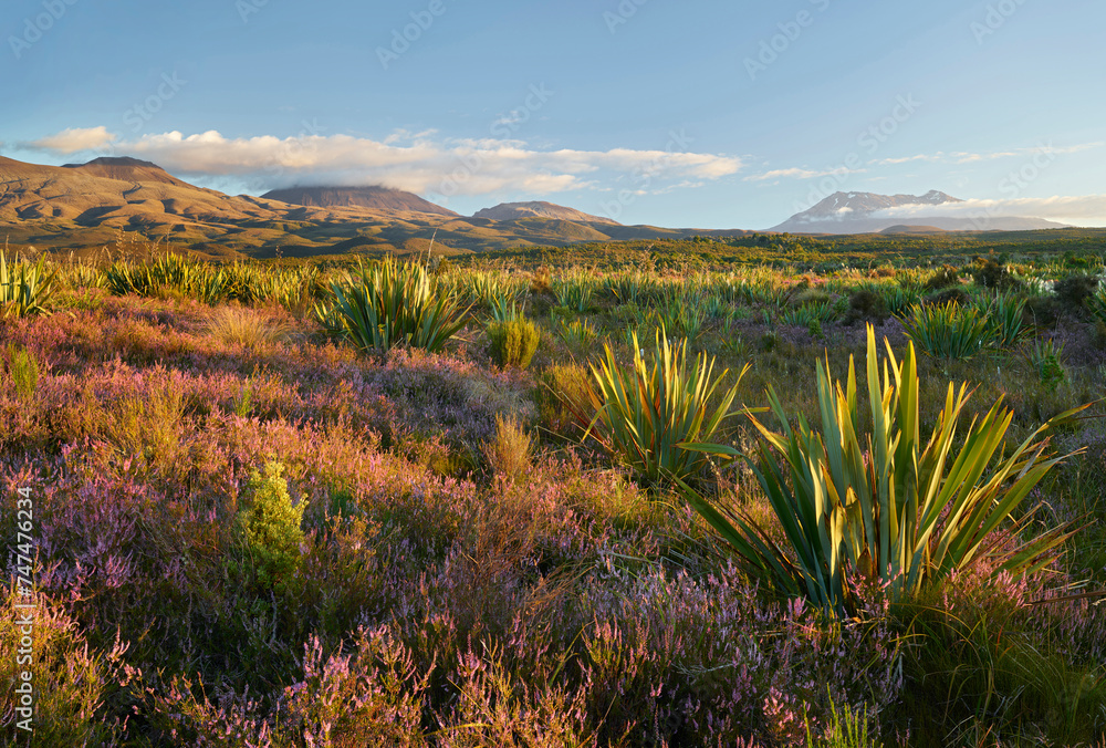 Φωτογραφία Mount Ngauruhoe, Mount Ruapehu, Tongariro Nationalpark, Manawatu-Manganui, Nordi