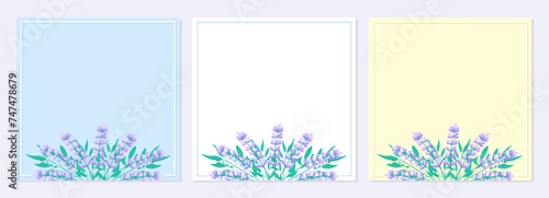 Set of banners with flowers and leaves. Lavender flowers. Invitation, greeting card, template, poster, background. Elegant herbal vector illustration.