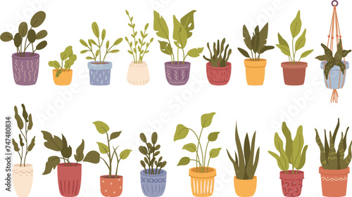set of house plant vector illustration