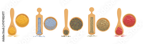 Different Spice and Condiment Pile for Cooking Vector Set