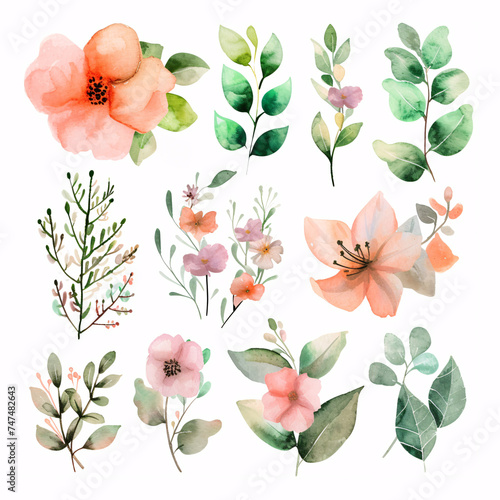 watercolor floral illustration set for wedding invitations, greetings, wallpapers, fashion, prints isolated on white background